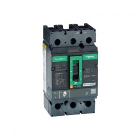 Interruptor termomagnético 2polo 175A Schneider Electric
